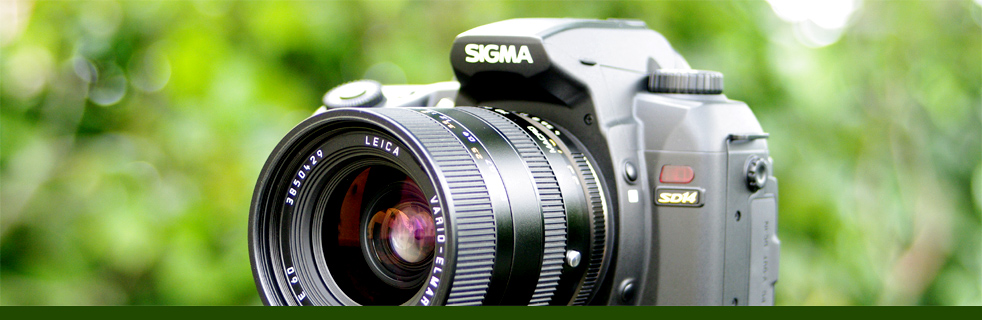Leica Sigma mount , no adapter
